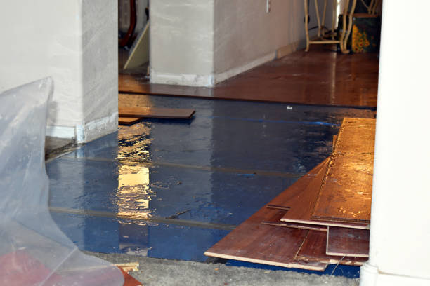 Professional Water Damage Restoration technician working in White Mountain Lake, AZ